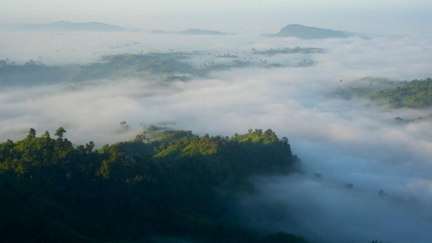 Reasons why you should travel within Bangladesh