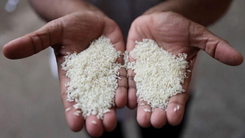 rice-supplier.jpg