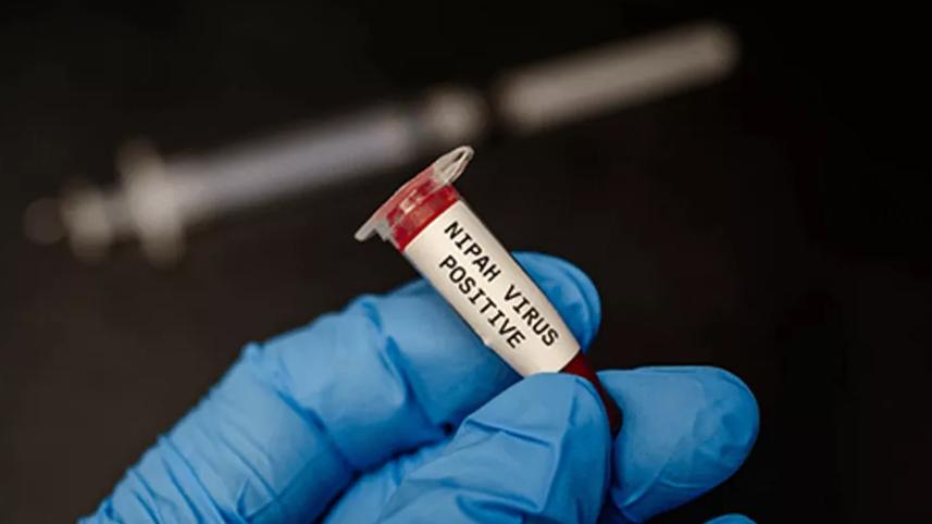 nipah.jpg