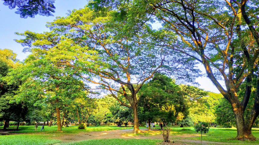 cheap romantic date ideas