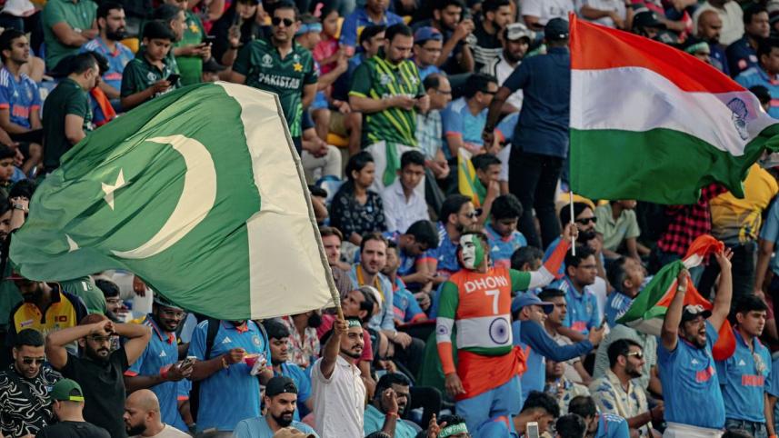 india_v_pak_fan_2.jpg