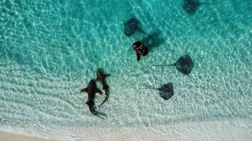 Prepare for a winter adventure! 5 countries to travel for under Tk 1 Lac