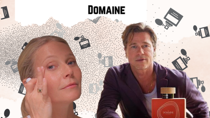 Gwyneth Paltrow on Brad Pitt’s Le Domaine