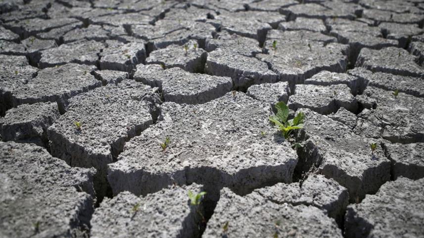 desertification-and-drought-day.jpg