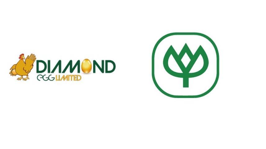 fined for egg price manipulation