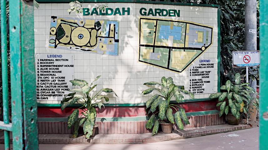 baldah-garden6.jpg