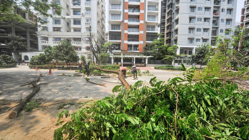 Felling trees, rising temperatures: Dhaka's environmental wake-up call