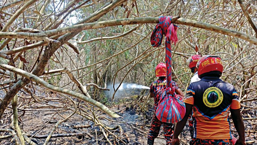 committee formed to assess biodiversity loss in sundarbans fire