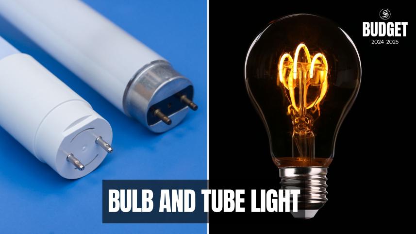 bulb_and_tube_light.jpg