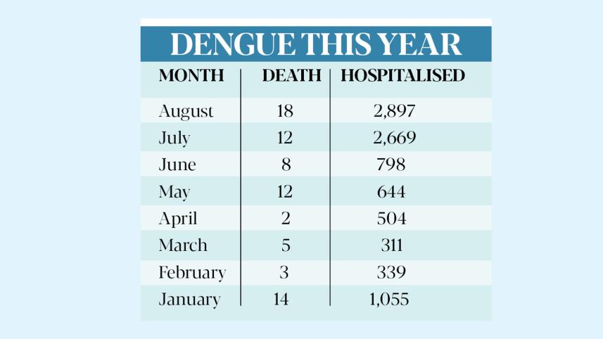 dengue-this-year.jpg