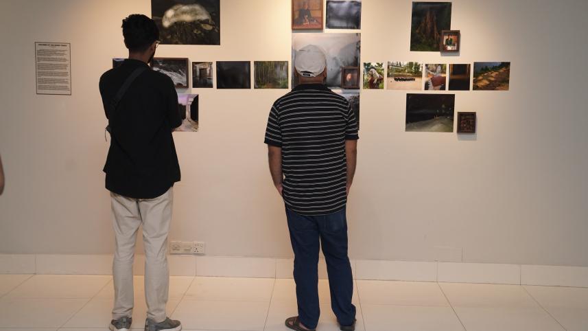 Beyond the Gaze at AFD