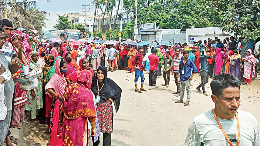 ashulia.jpg