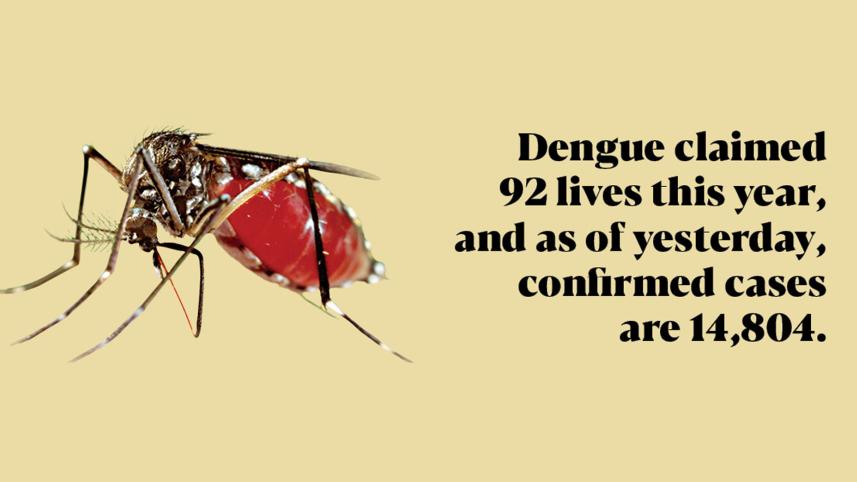 dengue-mosquto.jpg