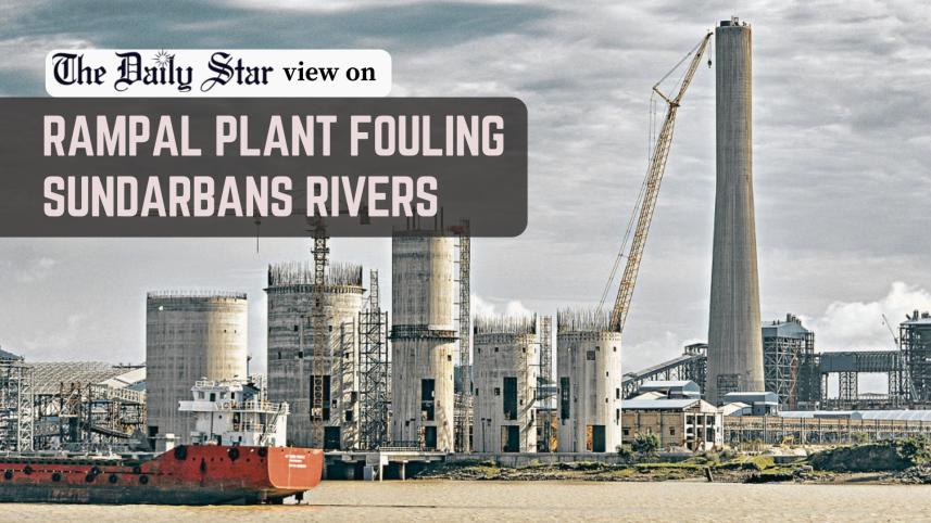 Sundarbans must be protected at all costs