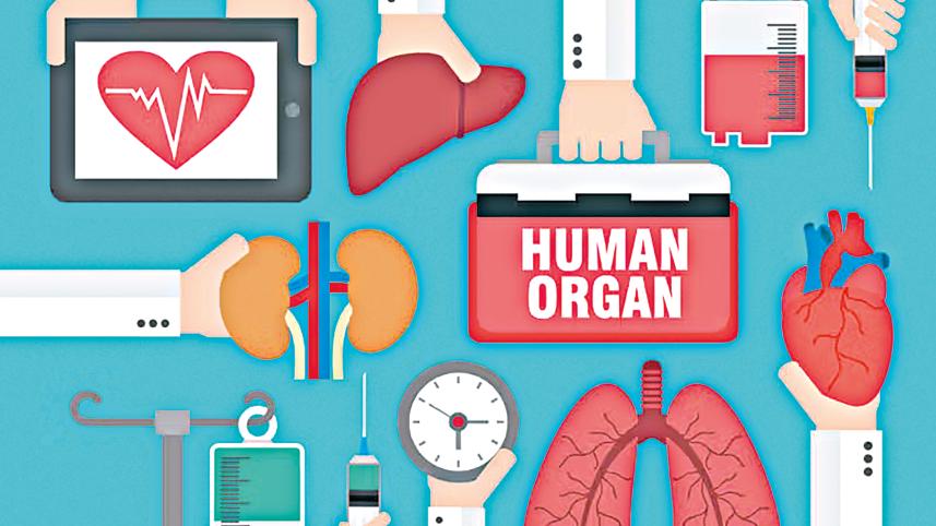 human-organ-transplantation.jpg