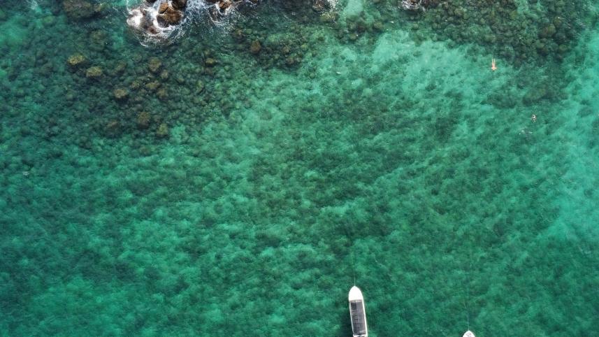 Sri Lanka   4 budget-friendly destinations under TK 50,000 for Bangladeshi travellers     olga-bykova-m00l1rktqdk-unsplash.jpg