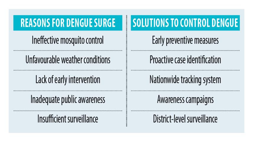 dengue.jpg
