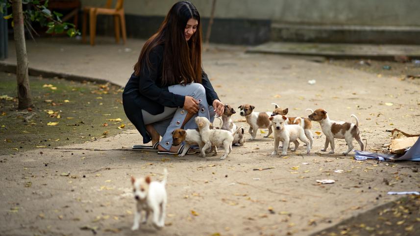 How to keep stray dogs and cats warm this winter 