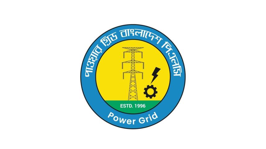 power grid company.jpg