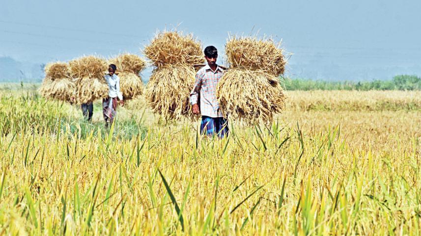 Bangladesh food security challenges