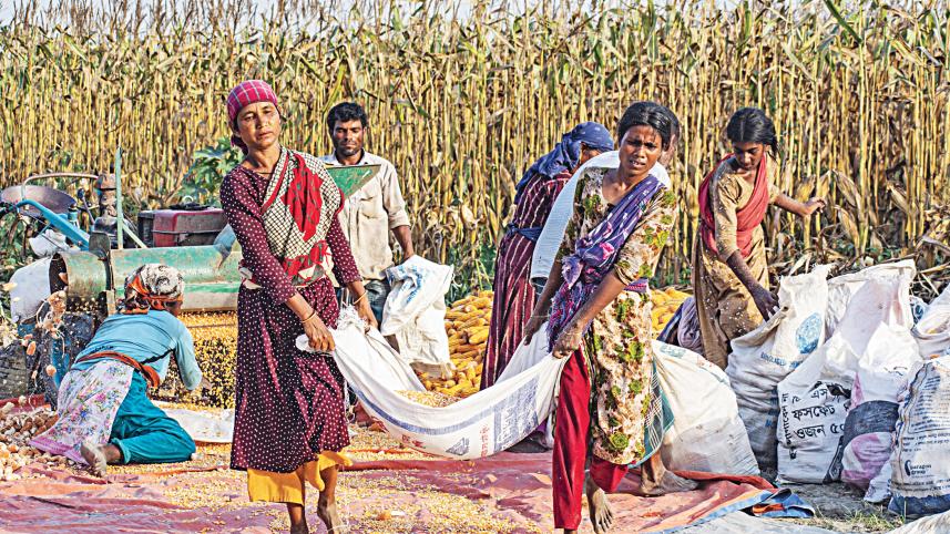 Bangladesh food security issues