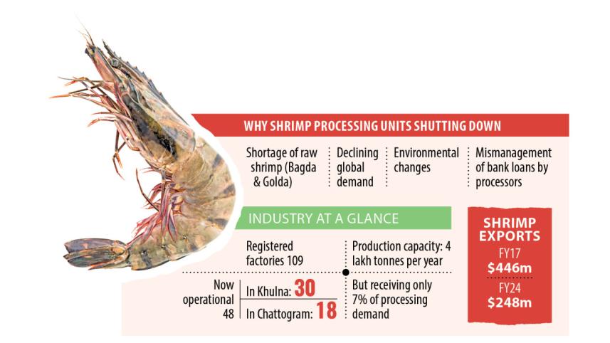 shrimp-processing-industry.jpg