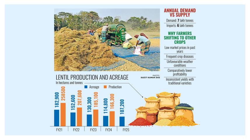 Lentil farming decline in Bangladesh