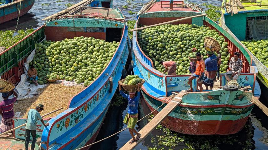 Wise Ghat's watermelon rush: A feast for the eyes and palate