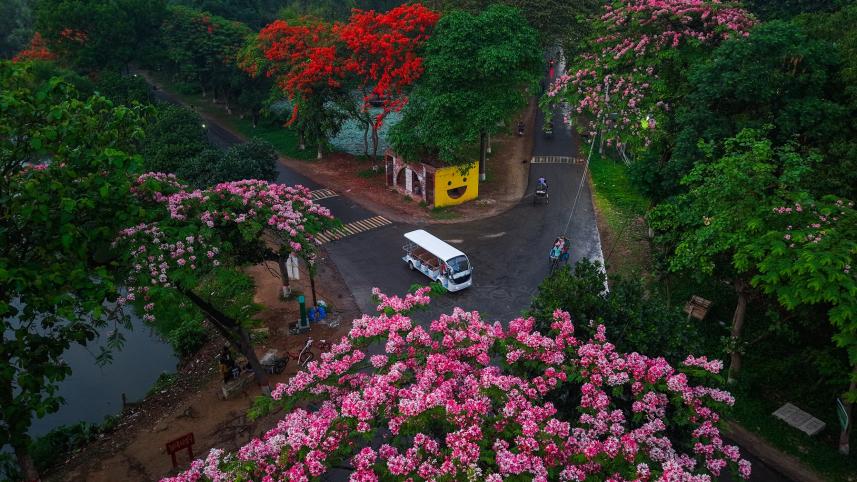Photo of Jahangirnagar University 1.jpg