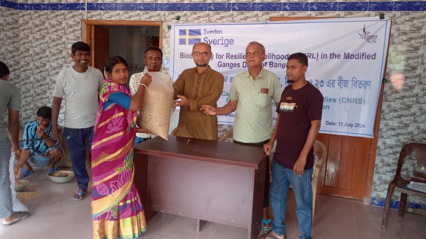 Saline soil, cyclones, health risks — Women farmers remain resilient