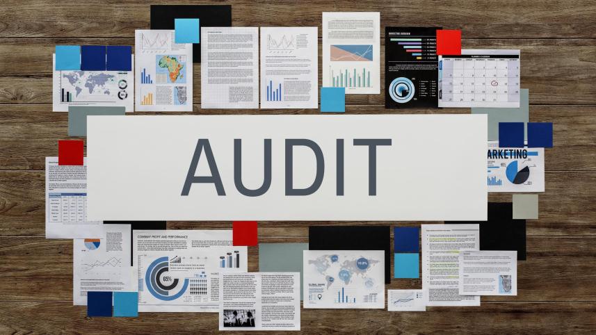 auditors failed to show real business conditions