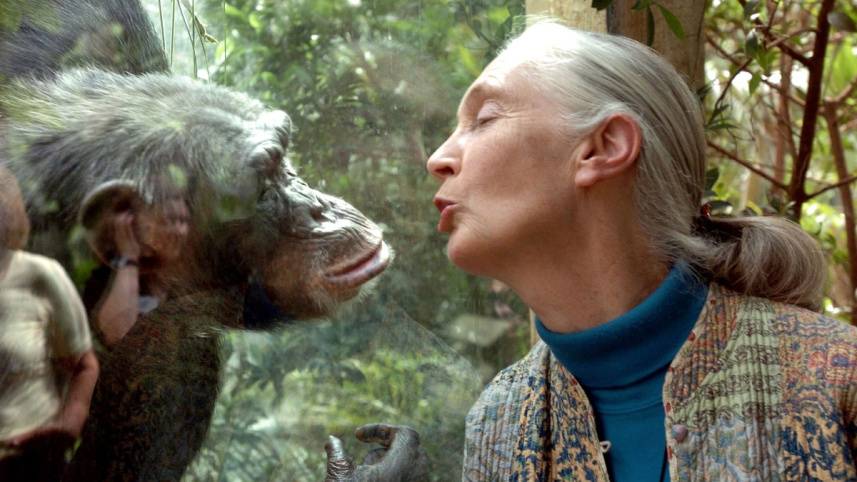 renownedprimatologistjanegoodalldiesat91institut.jpg
