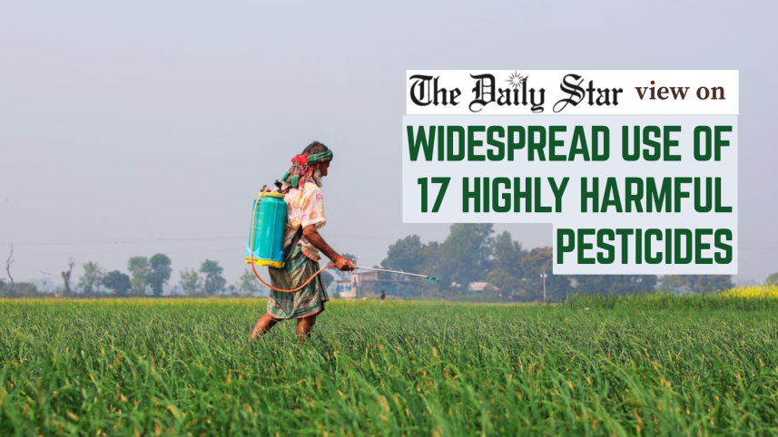harmful pesticide in Bangladesh vegetables