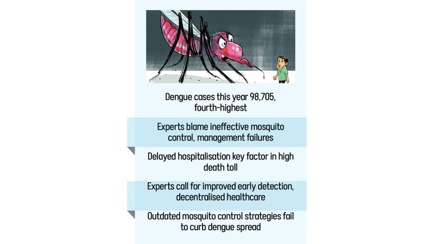 Dengue deaths reach 401, third-highest in 25 years | The Daily Star
