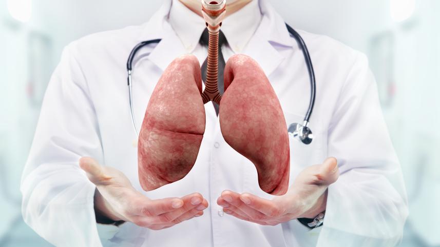 healthy-lungs-doctor-holding.jpg