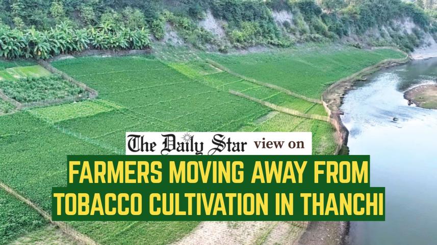 farmers_moving_away_from_tobacco_cultivation_in_thanchi.jpg