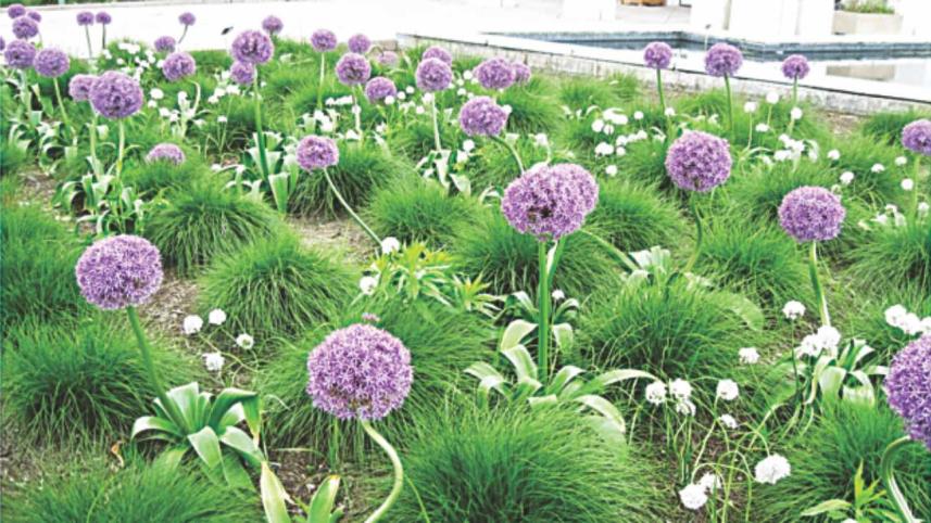 Lewis Ginter Botanical Garden