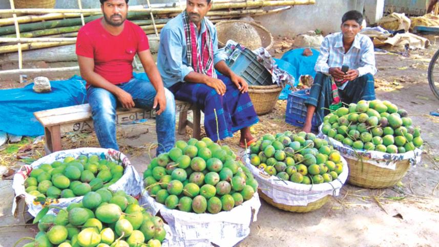 Mango traders