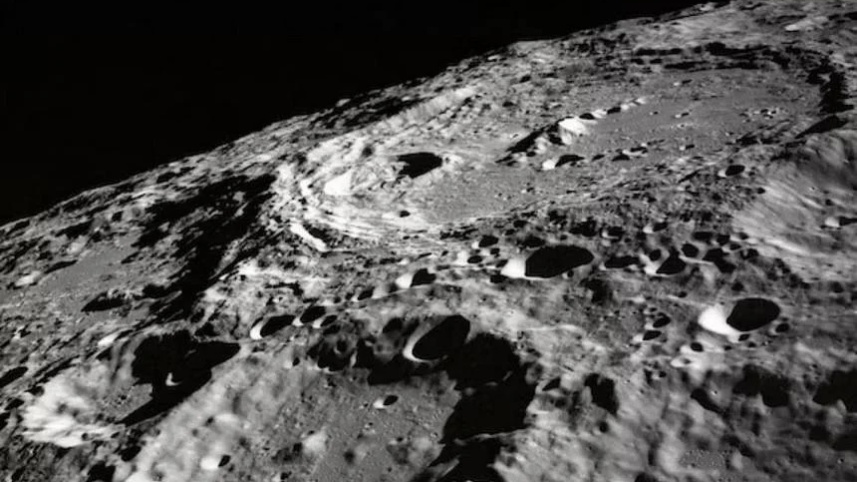 Soft-plants on Moon.jpg