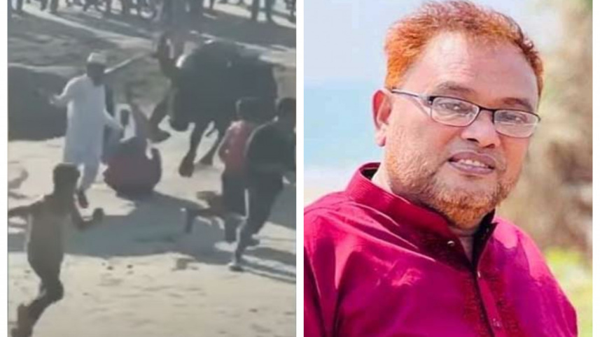 Bull attacks Bodi.jpg