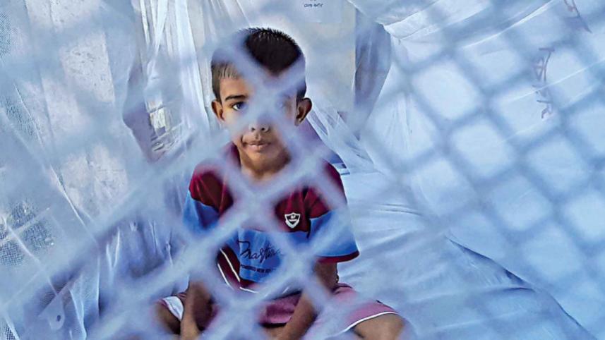 Dengue daily update.jpg