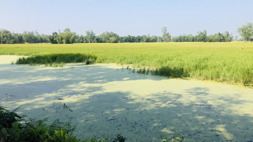 A travel story for May Day _cba3.jpg