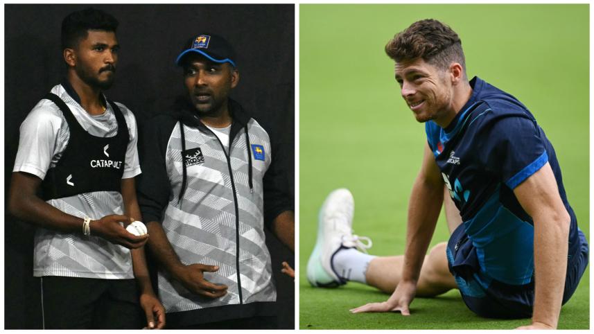 Kiwis preview fresh.jpg