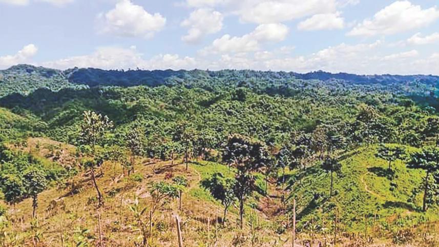 Sylhet Safari Park Project Criticism.jpg