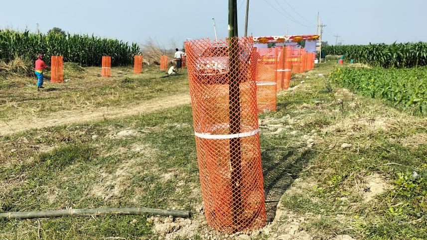 Manikganj initiative to prevent environmental disaster