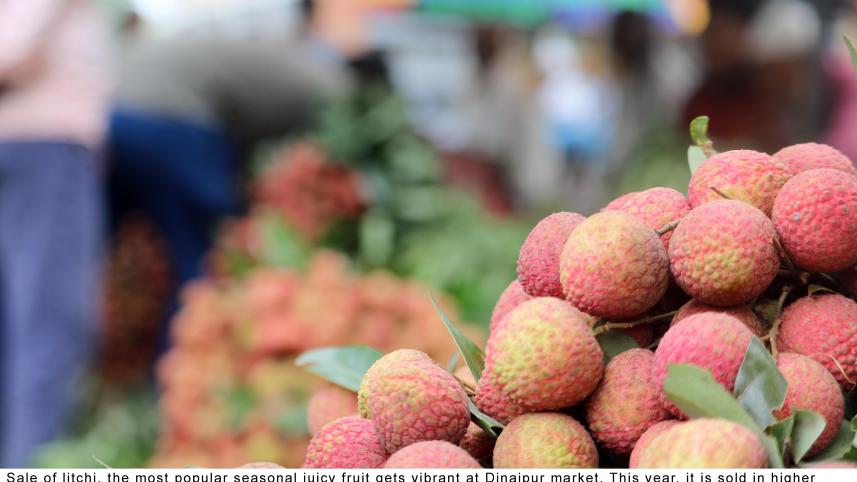 litchi Dinajpur 