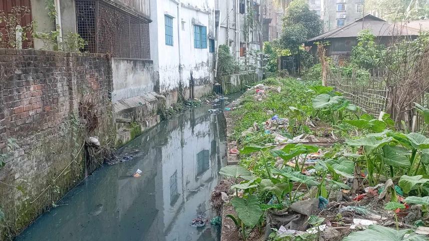 mymensingh mosquito menace.jpg