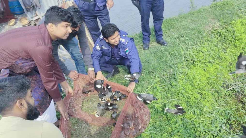 Over 1200 Trapped Birds Rescued and Released in Bagerhat.jpg