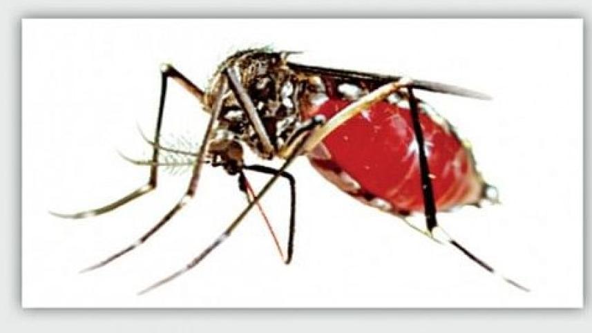 Dengue risk during eid.jpg