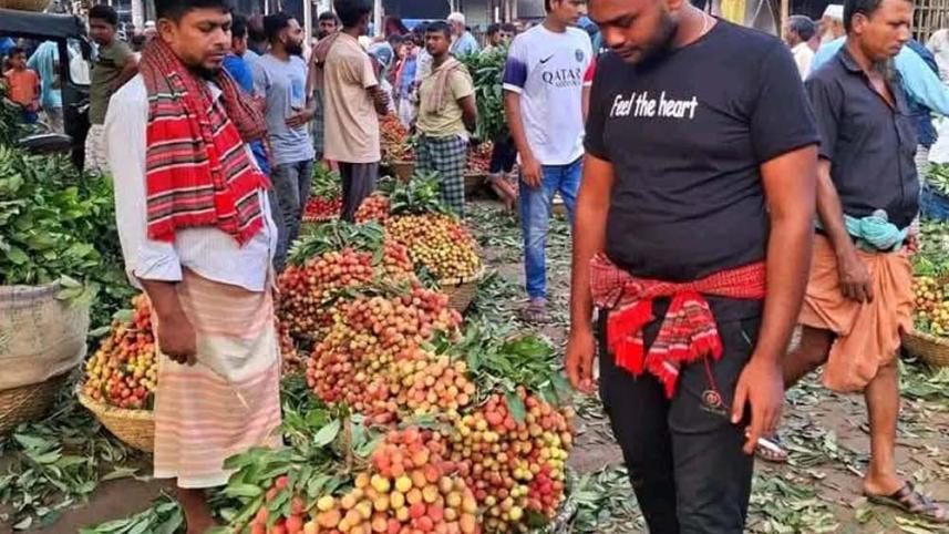 Pabna-Litchi special story_328f.jpg